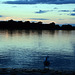 Abendstimmung am Oberrhein bei Söllingen