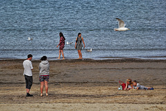 Beach activity