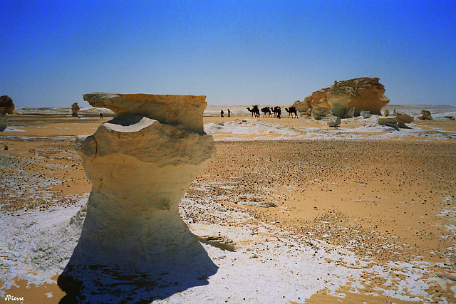 Le Désert Blanc Egypte