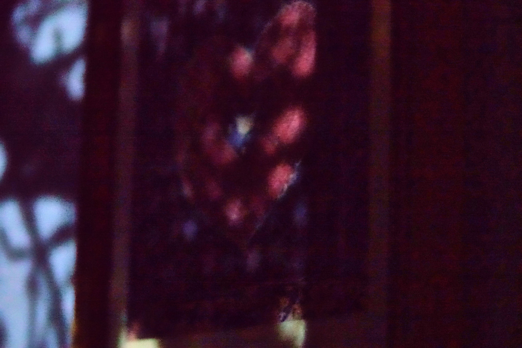 Shadows On My Bedroom Wall