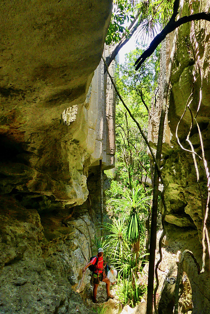 P1230745- Faille des Tsingy - Grands Tsingy de Bemaraha  08 novembre 2019