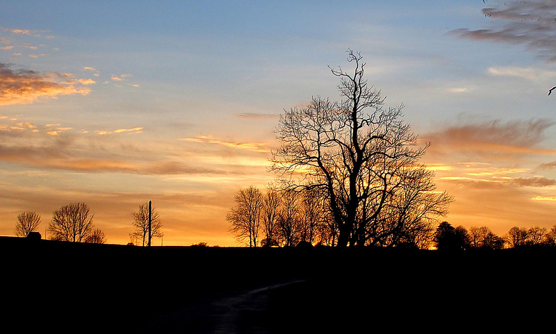 Matin calme...