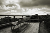Viewpoint