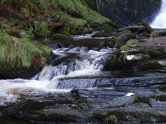 Pystyll Rhaeder lower reaches