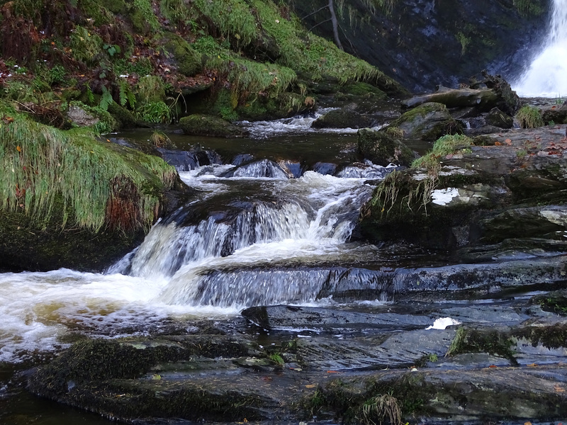Pystyll Rhaeder lower reaches