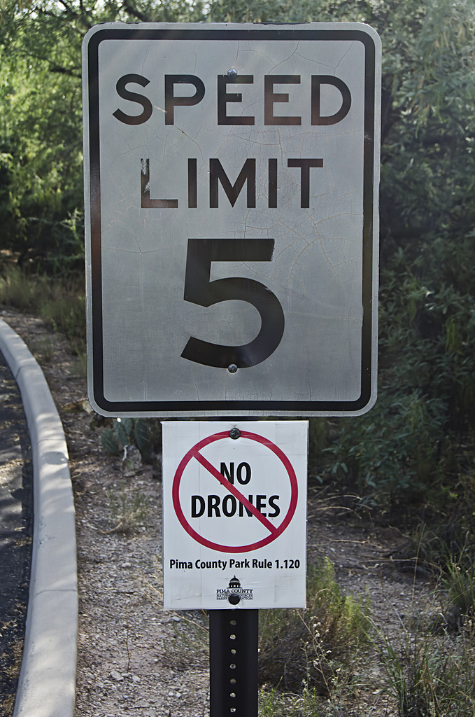 No Drones Allowed