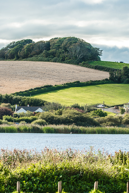 Torcross - 20150902