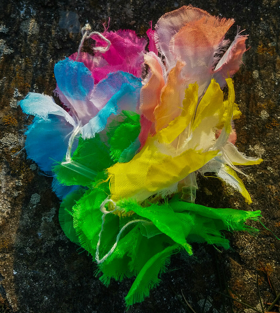 Bio-diversity Bio-diversity
