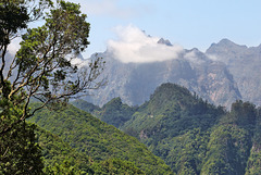 Von Ribeiro Frio nach Portela (19)