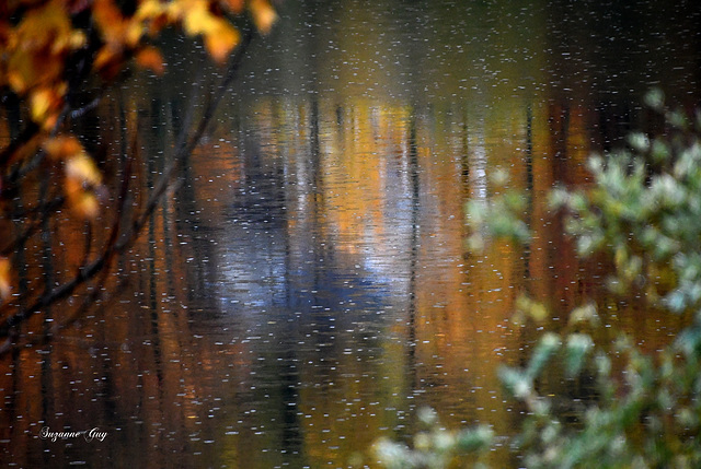 Le déclin de l'Automne sous la pluie