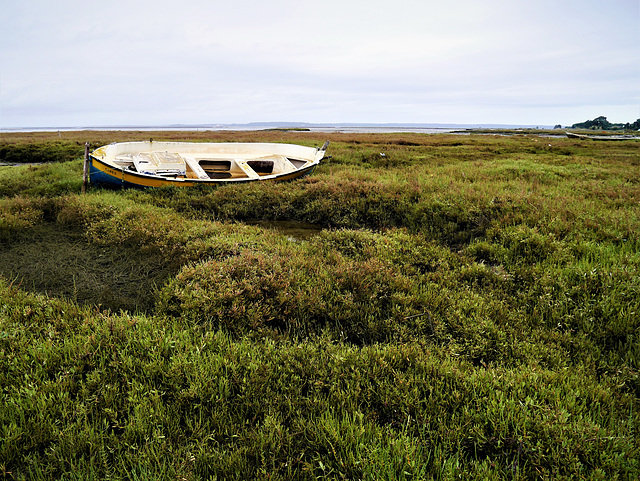 Ebb Tide