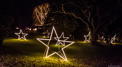 pls. view on black background → Christmas Garden @ Insel Mainau (Konstanz-Bodensee) (© Buelipix)