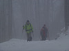 20150131 Raquettes Vercors La Goulandiere (92) al