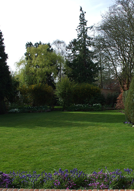 Fulbourn garden 2011-04-03 001