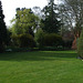 Fulbourn garden 2011-04-03 001