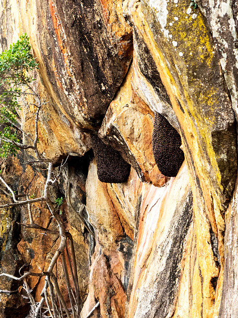 Sigiriya, Sri Lanka tour - the seventh day