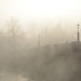River Dee bridge mist