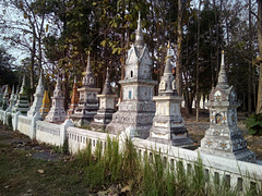 Clôture monastique / Buddhist fence