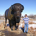 The Buffalo and I