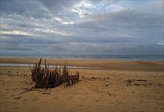 Monte Gordo, HFF now closed with Low tide fence, see you next Friday.