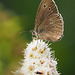 P7060068