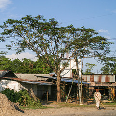 Rural Assam