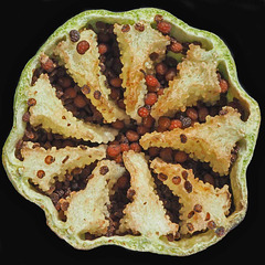 On the inside