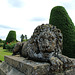 Bowood Lion