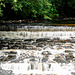 Over the weir