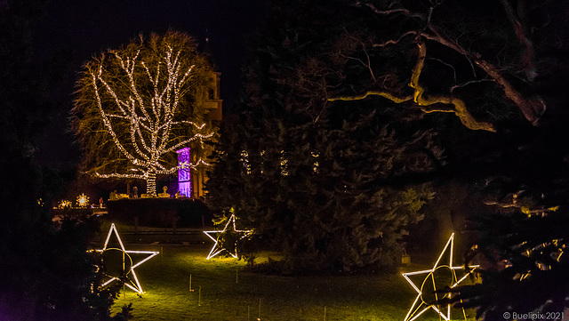 pls. view on black background → Christmas Garden @ Insel Mainau (Konstanz-Bodensee) (© Buelipix)