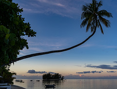 Just after sunrise, waiting for the coffee to brew