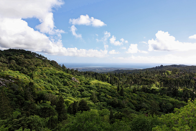 Parque da Pena, Sintra, Portugal