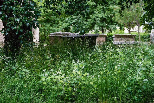 Churchyard Chest Tombs