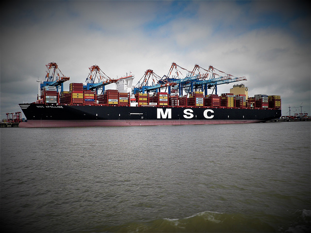 MSC APOLLINE