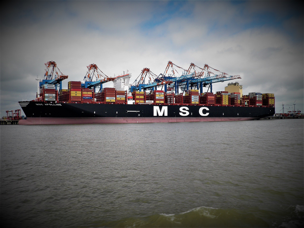 MSC APOLLINE