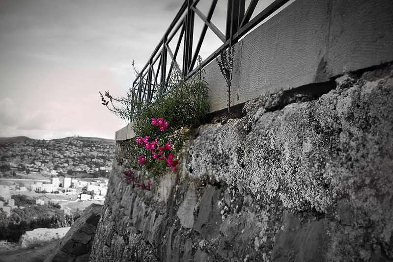 HFF et bon weekend.