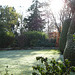 Fulbourn garden 2010-11-28 002