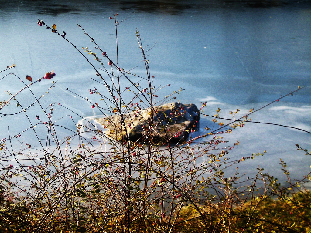 Gel sur le canal