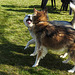 20220312 0334CPw [D~MI] Hundewiese, Hille