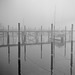 Bodensee im Nebel