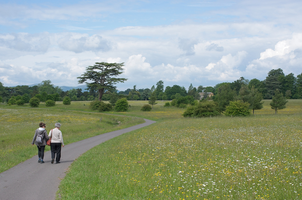 Walking at Croome Park