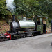 SBB[24]/DoL[24] {1/5} - Sir Haydn