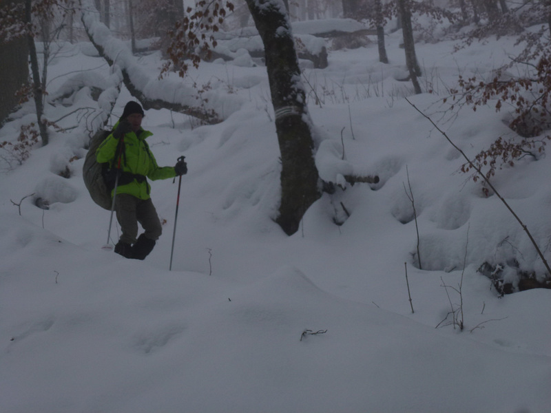 20150131 Raquettes Vercors La Goulandiere (99) l