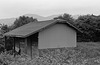 Hut in a farm