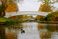 River Sow, Victoria Park