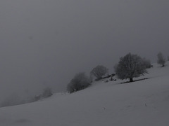 20250112 Raquettes Crêtes de Charande (Vercors) (43)