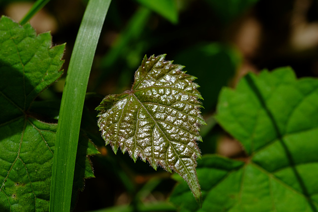 Just testing the setup