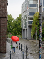 Umbrella