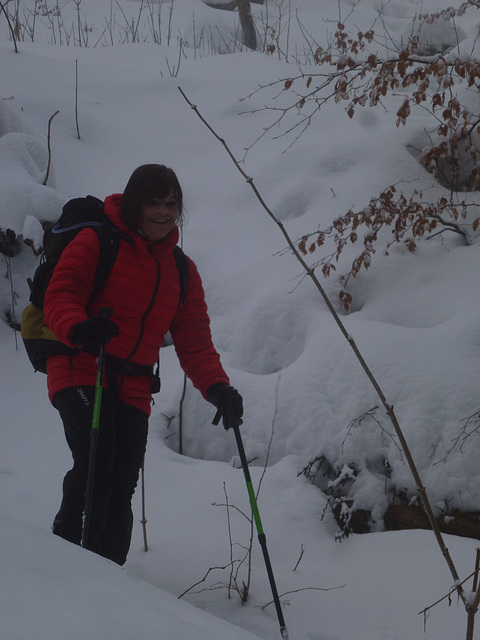 20150131 Raquettes Vercors La Goulandiere (101) al