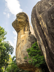 Cobra Hood Cave, Sigiriya, Sri Lanka